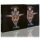 PROTECTOR - Misanthropy - CD - Slipcase