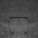 PAYSAGE DHIVER - Im Traum - Vinyl 10"-EP