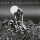 LIVING DEATH - Protected From Reality / Back To The Weapons - CD - Slipcase