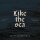 STEPFATHER FRED - Like The Sea - CD - Digisleeve