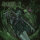 MIDNIGHT - Let There Be Witchery - CD