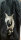 SEPTICFLESH - Modern Primitive - T-Shirt
