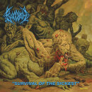 BLOODBATH - Survival Of The Sickest - CD