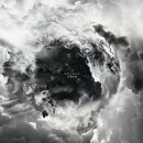 DISILLUSION - Ayam - Vinyl 2-LP