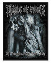 CRADLE OF FILTH - The Principle Of Evil Made Flesh -...