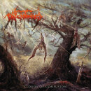 PHLEBOTOMIZED - Clouds Of Confusion - CD