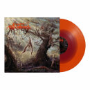 PHLEBOTOMIZED - Clouds Of Confusion - Vinyl-LP oxblood orange crush