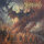 CRYPTOPSY - As Gomorrah Burns - CD
