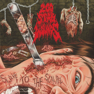 200 STAB WOUNDS - Slave To The Scalpel - CD - Jewel Case