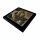 MASTER - Saints Dispelled - Ltd. CD-Box