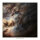 CHAPEL OF DISEASE - Echoes Of Light - CD