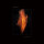 PALLBEARER - Mind Burnes Alive - CD