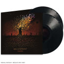 GOD IS AN ASTRONAUT - Embers - Vinyl 2-LP - black