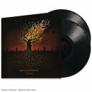 GOD IS AN ASTRONAUT - Embers - Vinyl 2-LP
