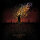 GOD IS AN ASTRONAUT - Embers - Vinyl 2-LP