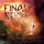 FINAL STRIKE - Finding Pieces - CD