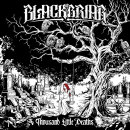 BLACKBRIAR - A Thousand Little Deaths - CD - Jewel Case