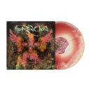 THE RED CHORD - Clients - Vinyl-LP - bone oxblood merged