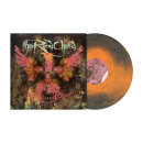 THE RED CHORD - Clients - Vinyl-LP - orange grey brown haze