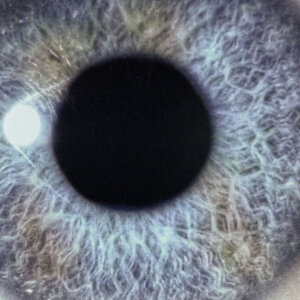 DAN SWANÖ - Moontower - 2-CD - Slipcase