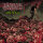INTERNAL BLEEDING - Settle All Scores - CD - Jewel Case