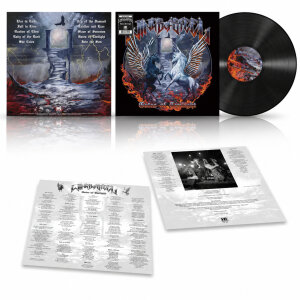 WINGS OF STEEL - Gates Of Twilight - Vinyl-LP - black