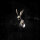 GHØSTKID - Follow The White Rabbit - CD - Ltd. Digipak
