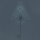 ALCEST - Le Secret - CD